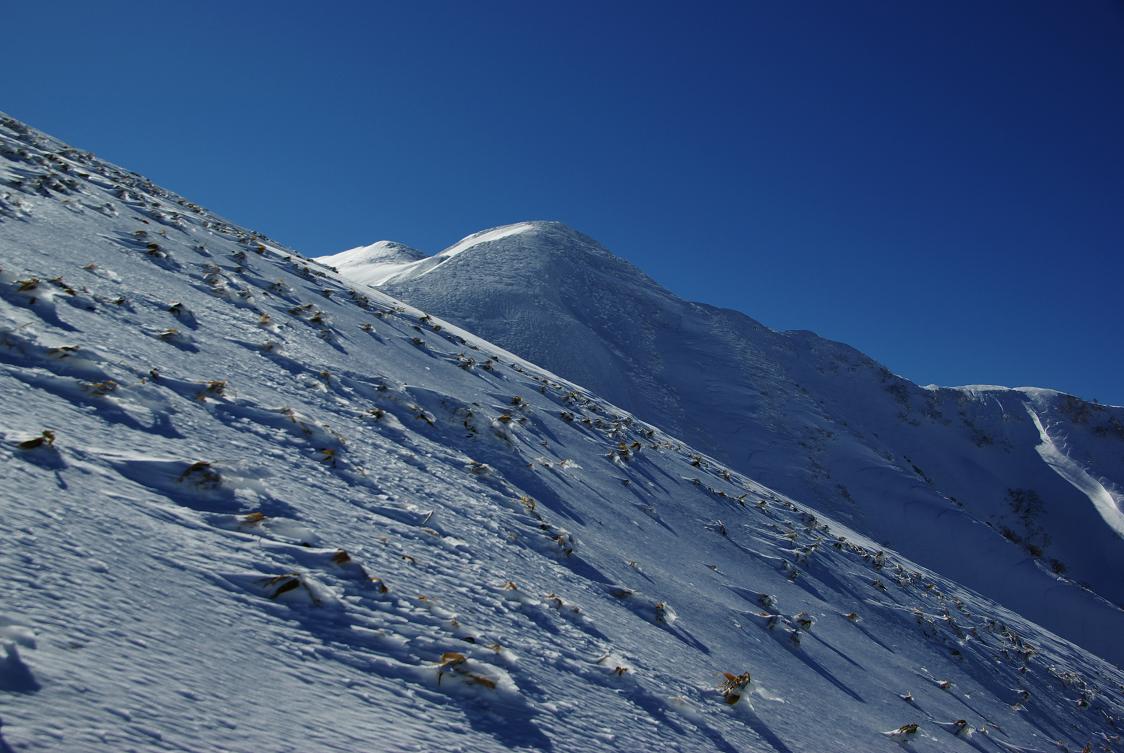 b0062024_5501553.jpg