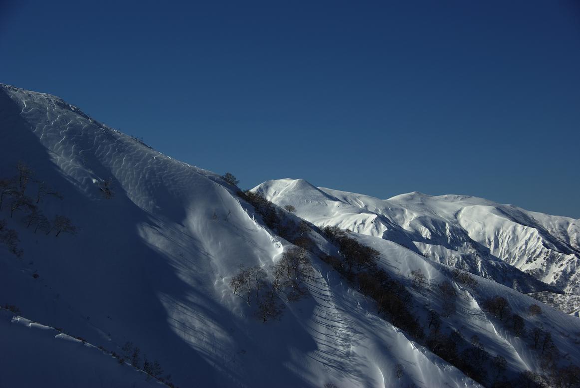 b0062024_5532510.jpg