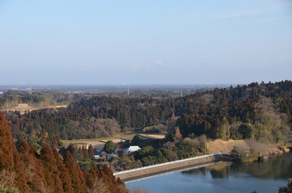 f0124830_1511222.jpg