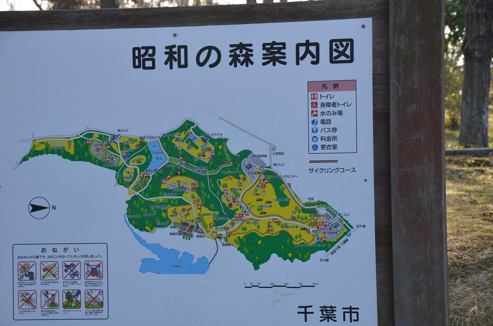 f0124830_1583183.jpg