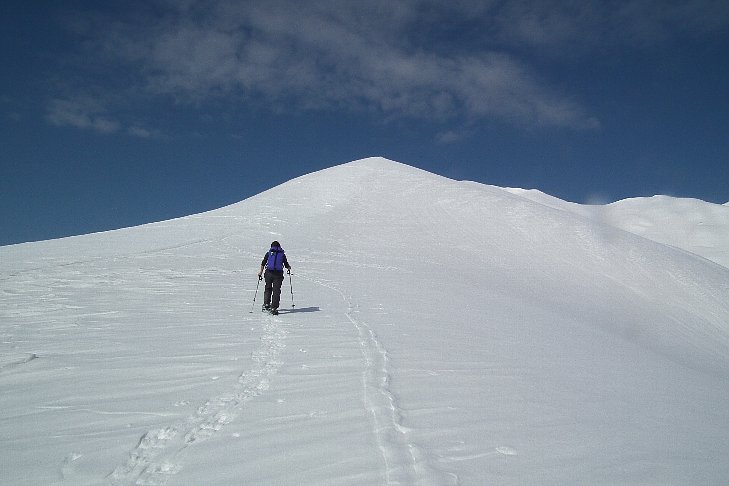 f0118332_22523558.jpg
