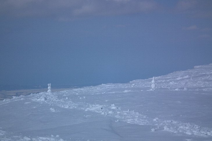 f0118332_23042.jpg