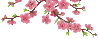 f0034334_13584384.gif