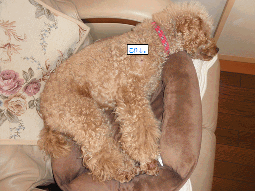 c0136736_12395490.gif
