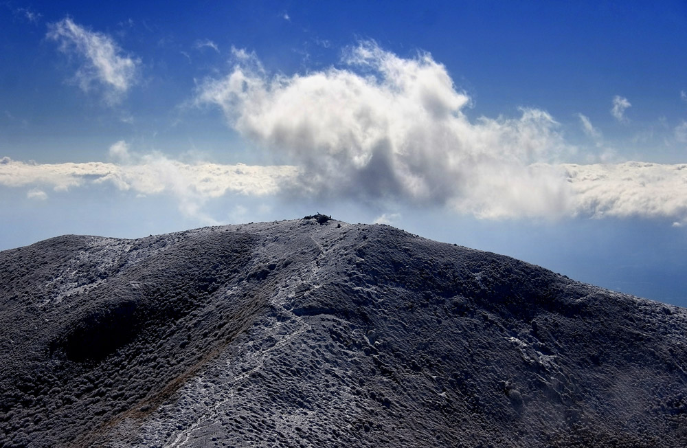 d0136836_10132582.jpg