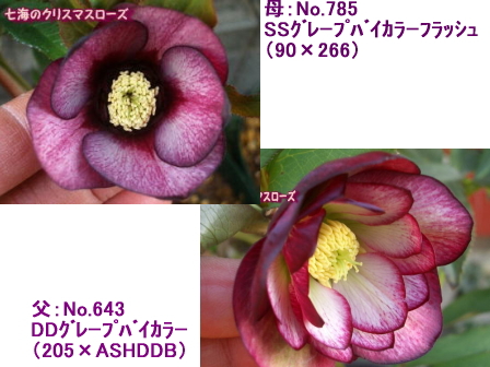 c0025140_23541175.jpg