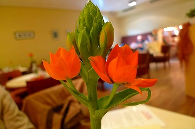 c0153740_1555858.jpg