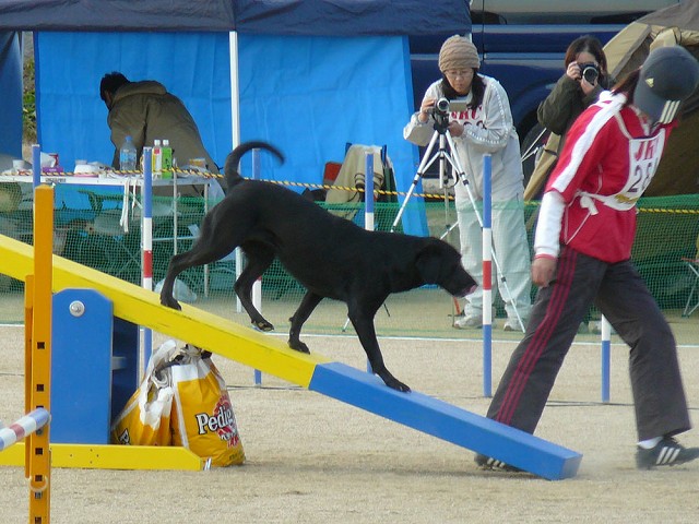 e0010342_9333091.jpg