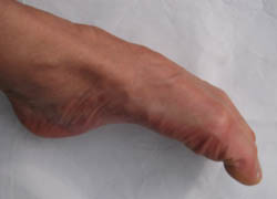 e0181546_1054539.jpg