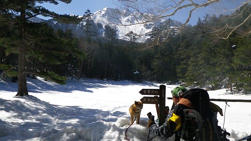 c0042847_10484055.jpg