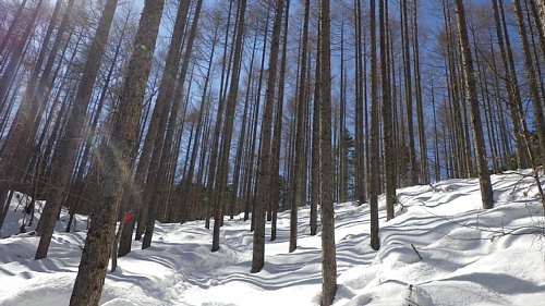 c0042847_10485714.jpg
