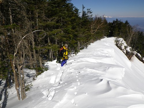 c0042847_11104156.jpg