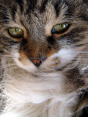 a0074650_17292597.jpg