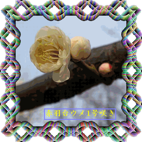 b0133752_1939191.gif