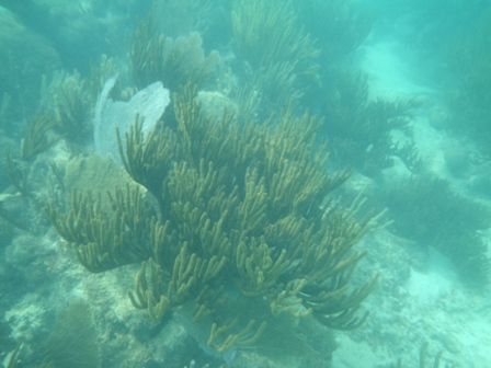b0173754_1242455.jpg