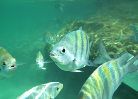 b0173754_12451262.jpg
