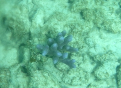 b0173754_12564861.jpg