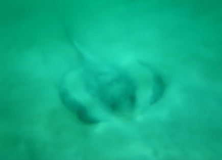 b0173754_12574736.jpg