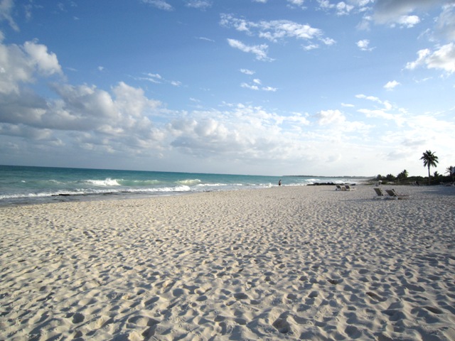 b0173754_13491615.jpg