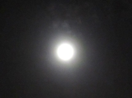 b0173754_14304581.jpg