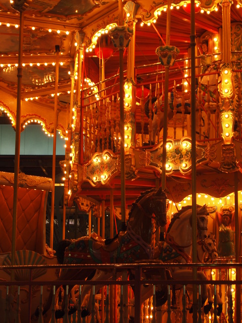 d0160960_335773.jpg