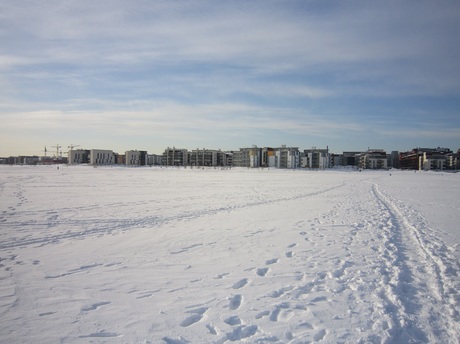 d0221360_2015738.jpg