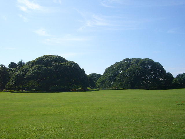 f0057565_10501038.jpg