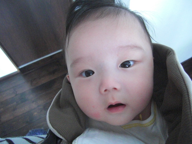 f0200773_8311414.jpg