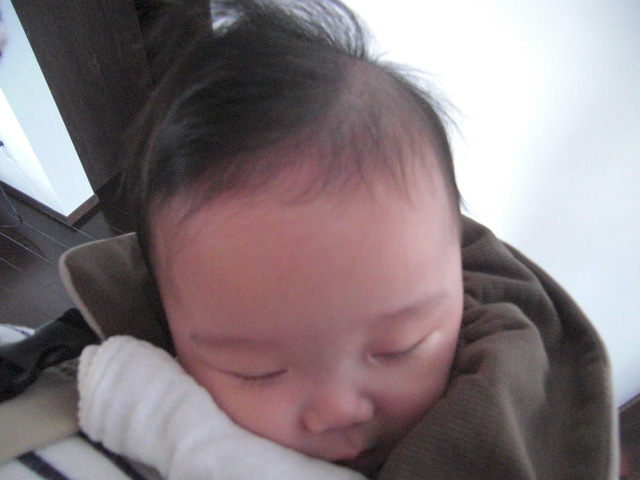 f0200773_835757.jpg