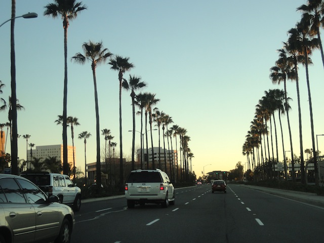 f0150078_17305816.jpg