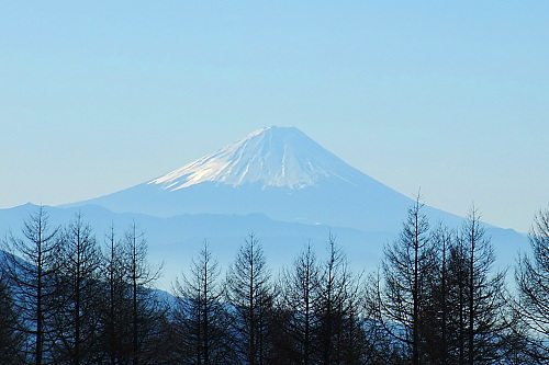 b0136381_1158396.jpg
