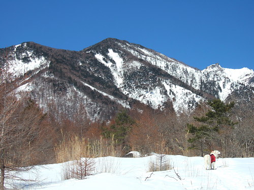 b0136381_1226494.jpg