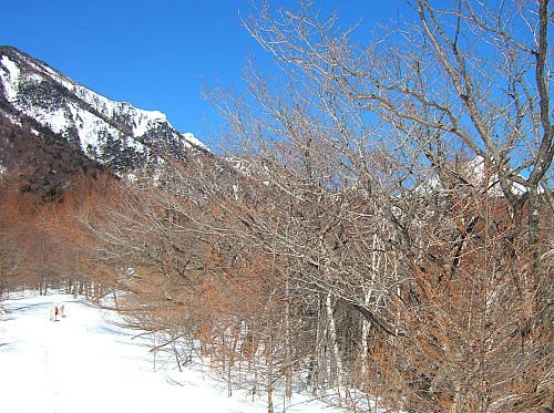 b0136381_1239225.jpg