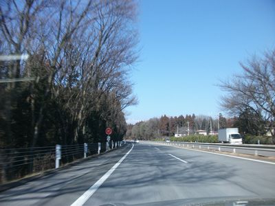 d0118592_1235214.jpg