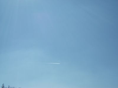 d0118592_13252196.jpg