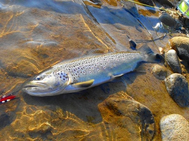e0202393_23415065.jpg