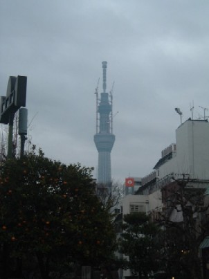 d0201194_223168.jpg