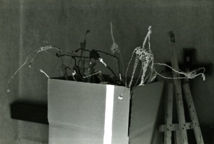 a0199297_1491965.jpg