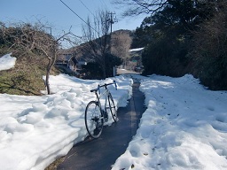 c0187298_062867.jpg