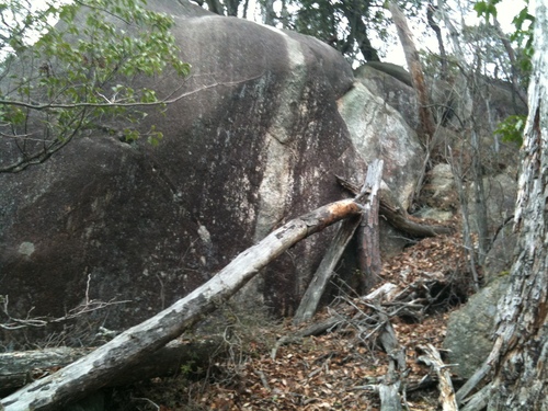 f0234100_2055454.jpg