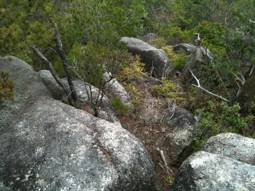f0234100_20581447.jpg