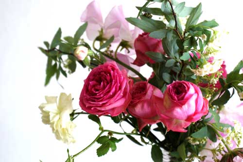 a0055907_13464618.jpg