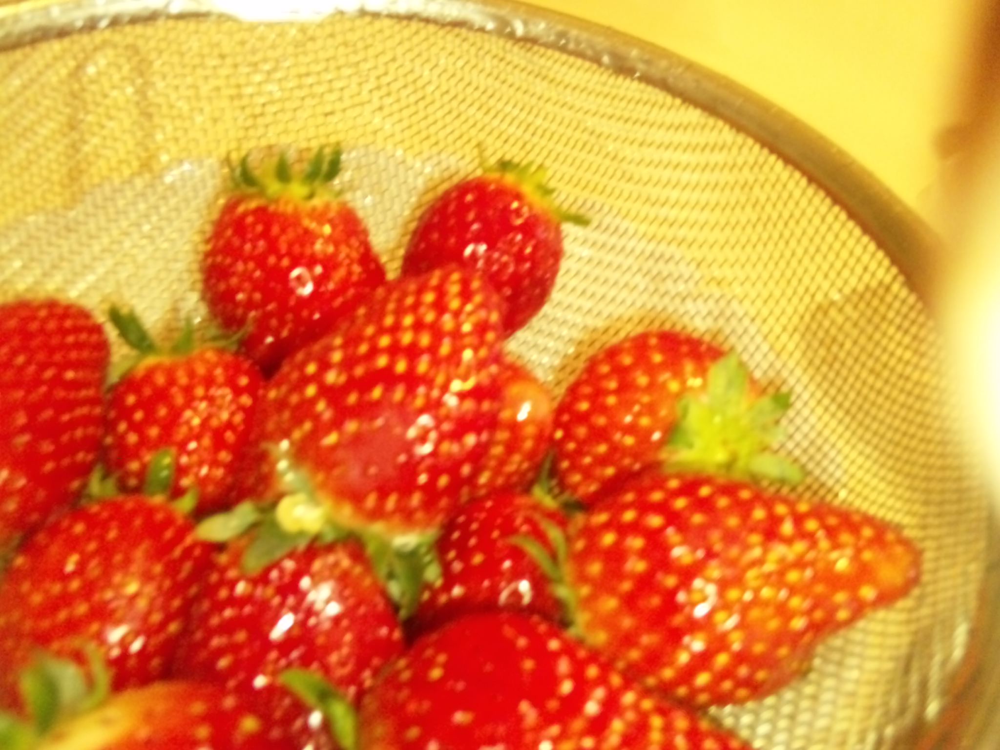 e0179308_2258161.jpg