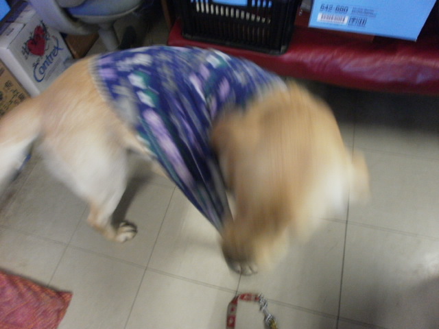 c0116610_1593482.jpg
