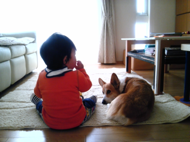 c0153410_018945.jpg