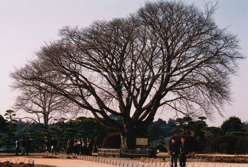 e0146919_2141947.jpg