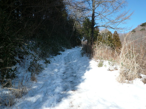 a0049226_0534128.jpg
