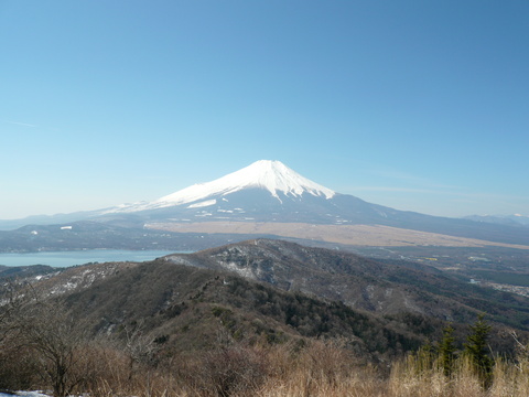 a0049226_11159.jpg