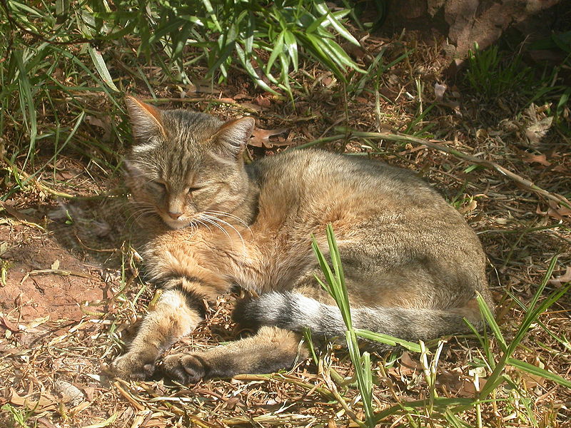 f0222527_2203715.jpg