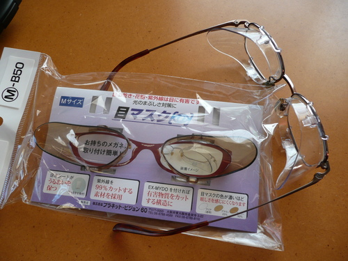 c0009528_231820100.jpg